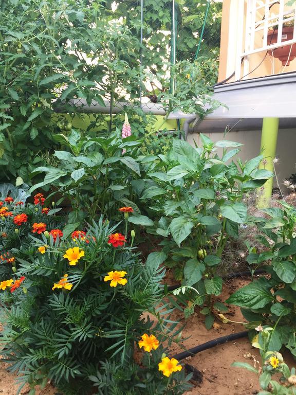 Friendly People'S Guest House Задар Экстерьер фото